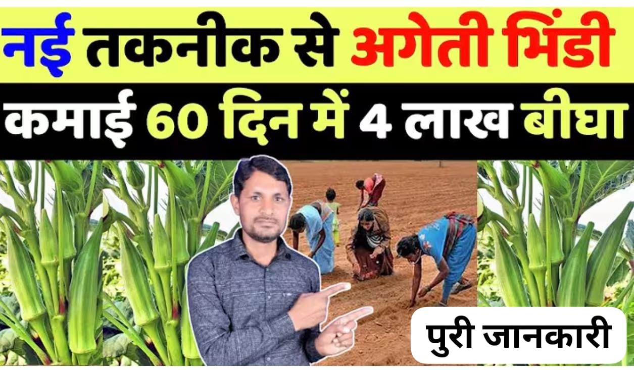 भिंडी की खेती: जनवरी